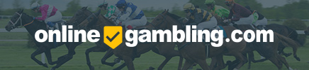 Detailed Guide to Online Horse Racing Betting