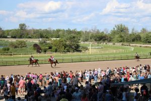 Why Canadian Horse Racing Fans Want Fast Online Casino Experiences
